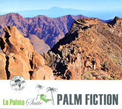 Palm Fiction Cover