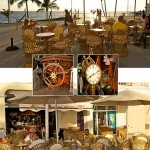 Cafés y cócteles bajo las palmeras