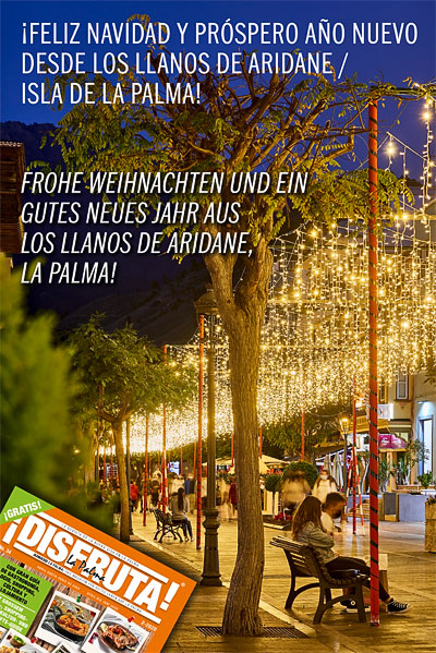 Weihnachtsfoto2020
