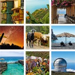 Homenaje a La Palma