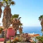 30 Jahre Bungalows Morani/Puerto Naos