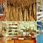 Puros Artesanos Julio – San Pedro/Breña Alta Puros Artesanos Julio – San Pedro/Breña Alta